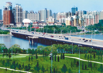 什么是國家森林城市？