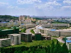 規劃引領 數字轉型 創建增效 高質量推進新時代三農發展