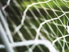 新疆出臺現代馬產業發展規劃（2019-2030年）