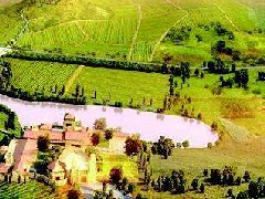 重視平臺“十四五”規(guī)劃，服務(wù)地方經(jīng)濟持續(xù)發(fā)展