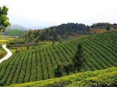 安陽(yáng)召開(kāi)合金新材料產(chǎn)業(yè)園規(guī)劃建設(shè)協(xié)調(diào)推進(jìn)會(huì)