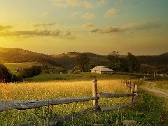 全球橡膠專家聚?？谥\劃產業規劃振興