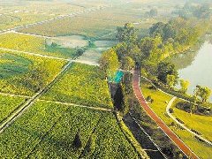 黔惠共建產業園推進迅速7個現代農業產業園區全部完成掛牌