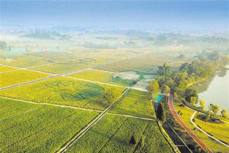 萬寧市舉辦國家現代農業產業園推介會 4個項目成功簽約