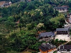 我省“十四五”期間要創(chuàng)建100個省級現(xiàn)代農(nóng)業(yè)產(chǎn)業(yè)園