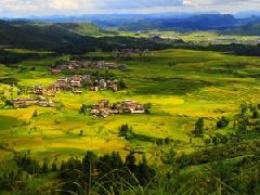 2021年現(xiàn)代農(nóng)業(yè)產(chǎn)業(yè)園創(chuàng)建要點及政策分析！