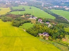 現代農業產業園如何申報及相關政策