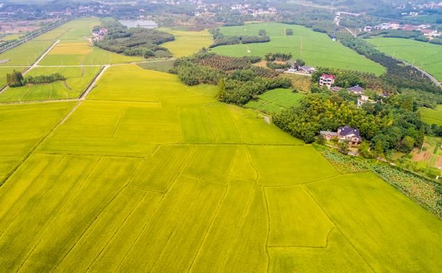 廣州唯一！從化花卉國家現(xiàn)代農(nóng)業(yè)產(chǎn)業(yè)園通過認(rèn)定驗收