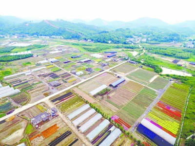 以“一帶一部”新戰略提升湖南發展新優勢