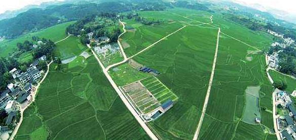 大健康事業是國家趨勢，現今走在前面的人，將是未來的主角！