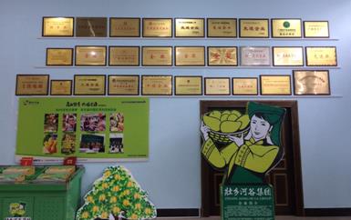 “芒果百色,香飄百地” 國內首家芒果精深加工特色產業基地申報進行時