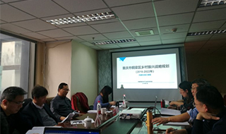 問(wèn)診專家，繪制龍鄉(xiāng)銅梁鄉(xiāng)村振興新藍(lán)圖