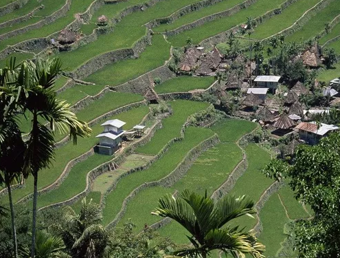 世界生態農業優秀案例