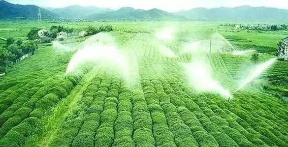 重磅！2019中央一號文件即將發布！大農業領域迎來新機遇