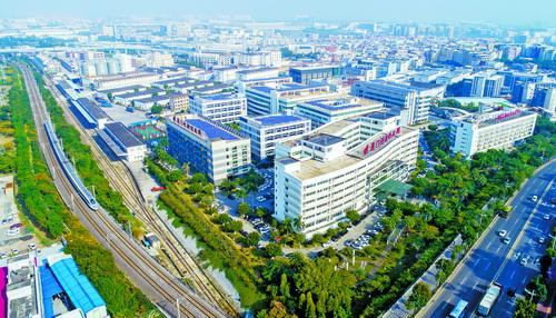 廈門火炬高新區：人工智能從“多枝繁茂”到“規?；R放”