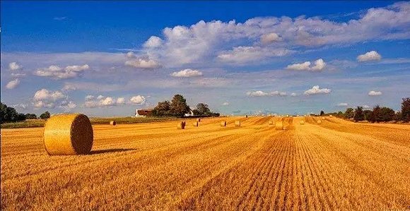 農(nóng)資企業(yè)如何在鄉(xiāng)村振興征程中發(fā)展壯大？