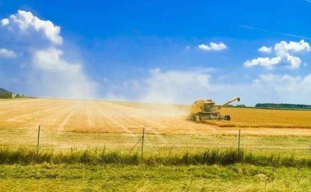 科技創(chuàng)新驅(qū)動鄉(xiāng)村振興 引導高校主動服務