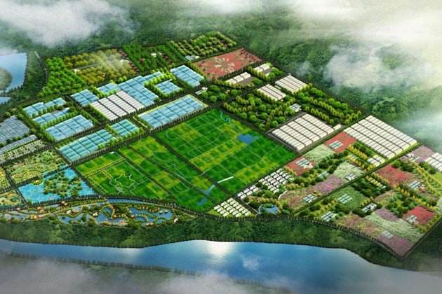 申報(bào)創(chuàng)建國家現(xiàn)代農(nóng)業(yè)產(chǎn)業(yè)園的條件及流程