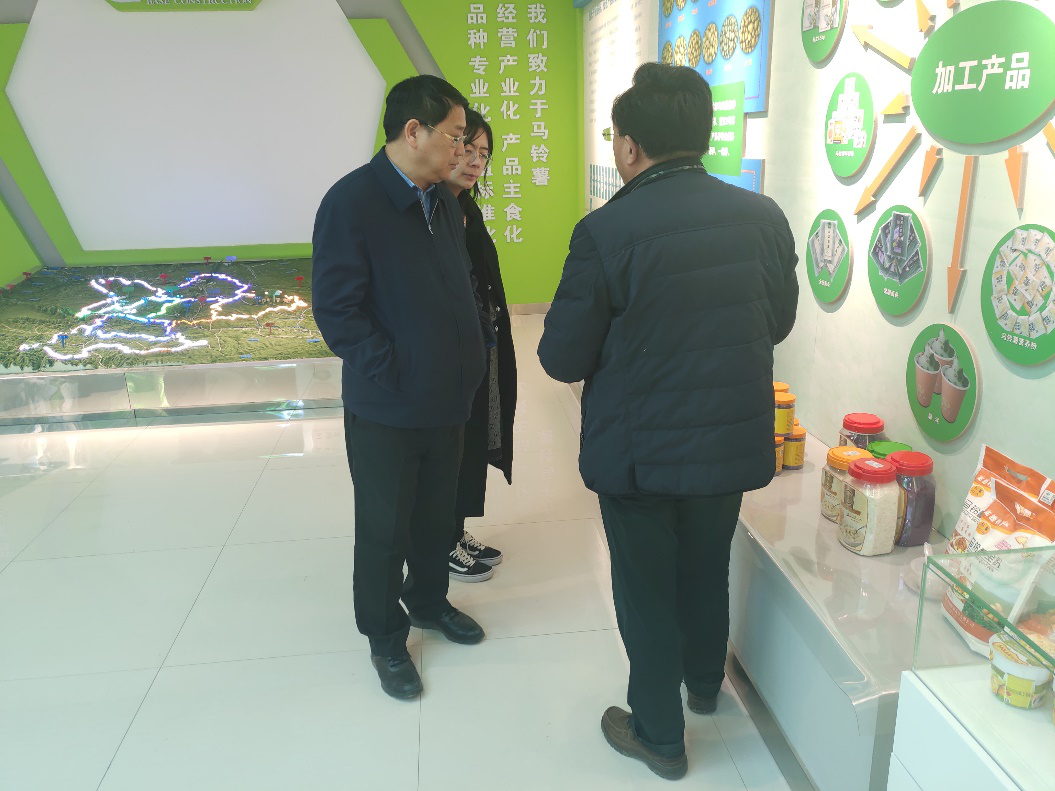 “中國薯都”再奏新旋律，定西市安定區開啟馬鈴薯產業發展新篇章