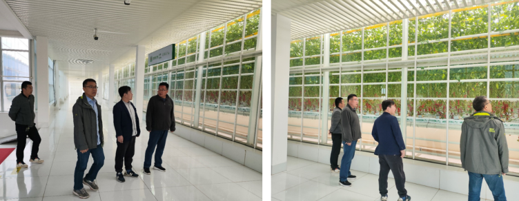 加強農(nóng)業(yè)產(chǎn)業(yè)布局規(guī)劃，民樂縣向農(nóng)業(yè)強縣進(jìn)發(fā)