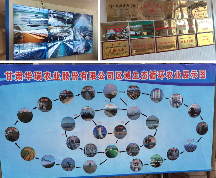 加強農(nóng)業(yè)產(chǎn)業(yè)布局規(guī)劃，民樂縣向農(nóng)業(yè)強縣進(jìn)發(fā)