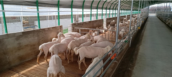 高新院再創(chuàng)佳績，又一國家現(xiàn)代農(nóng)業(yè)產(chǎn)業(yè)園誕生在三晉大地